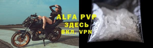спиды Абаза