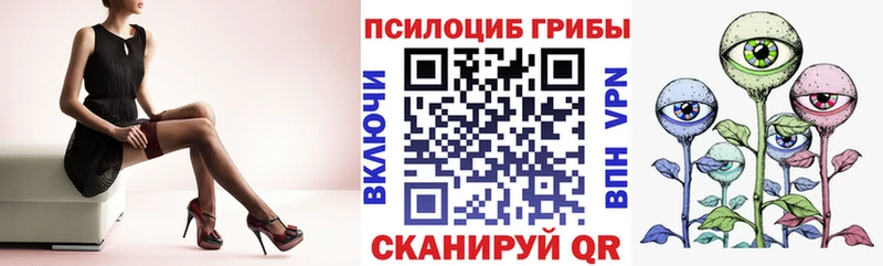 Псилоцибиновые грибы Psilocybe где купить Белый